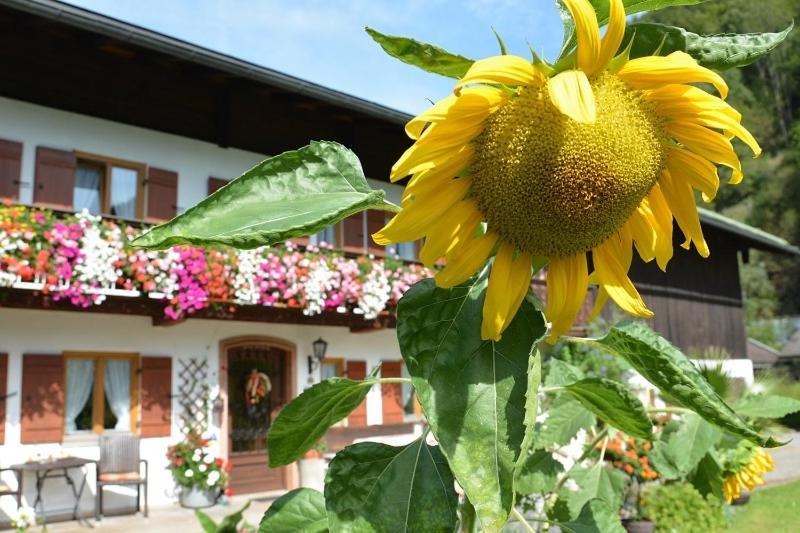 Haus Jagerer Hotel Ramsau bei Berchtesgaden Bagian luar foto